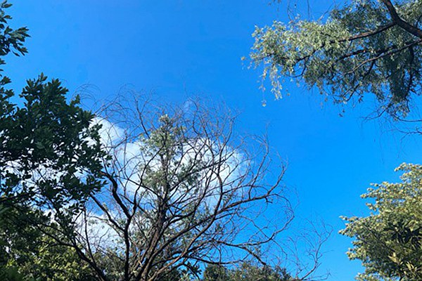 烏魯木齊道路積塵治理有妙招：動態監測 聯合督導，助力空氣質量改善