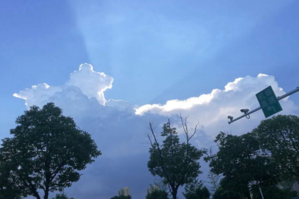 安徽臭氧防控的科技逆襲：走航監測精準狙擊，污染天數驟降近三成！