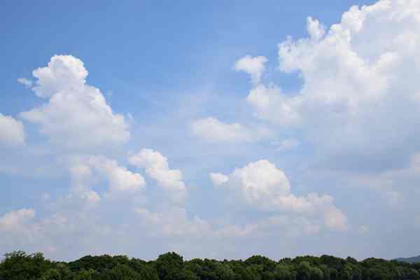 精準“削峰”戰臭氧，全力守護“瓷都藍”