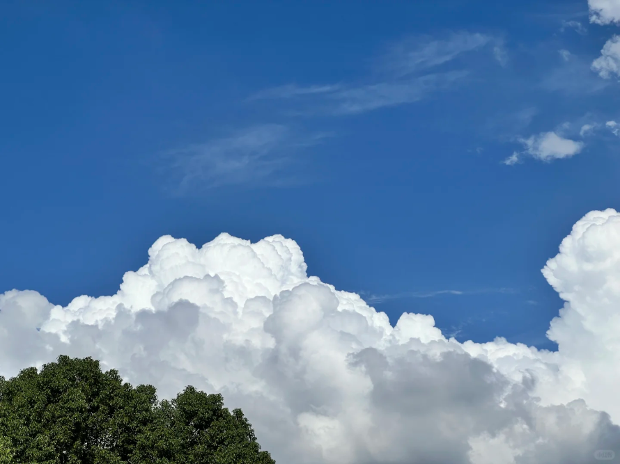 廣州藍，8微克閃耀全運！從化綠，6微克奠定基石！