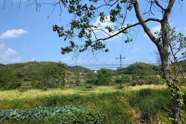 京津冀及周邊地區出現中至重度污染，多地啟動預警積極應對